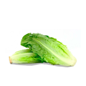 Corazón de lechuga