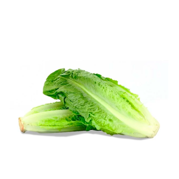 Corazón de lechuga