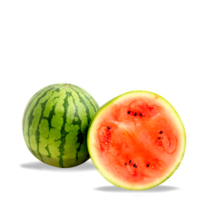 Sandia personal